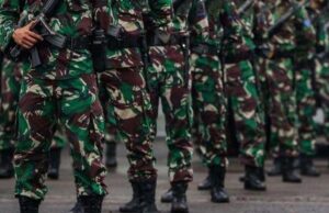 UU TNI dan Ancaman Militerisasi Kehidupan Sipil: Menimbang Ulang Batasan Kewenangan TNI dalam Negara Demokratis